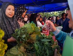 Sediakan Berbagai Kebutuhan Pangan, Bazar Murah DKPP Agam Diserbu Pengunjung