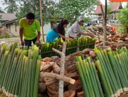 Jelang Ramadan, Tradisi Malamang Masih Eksis di Lubuk Basung
