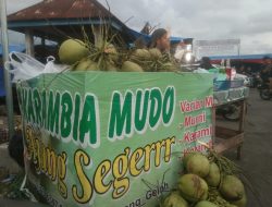 Penjual Kelapa Muda di Lubuk Basung Raup Cuan Ramadan