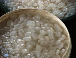 Buah Atap Jadi Bahan Takjil Paling Diburu di Lubuk Basung