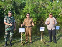 Bibir Pantai di Ujung Labuang Ditanami 1000 Bibit Mangrove