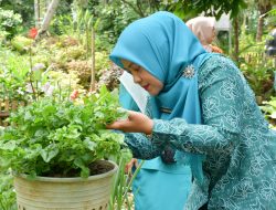 Hadang Lomba Gerakan PKK Sumbar, PKK Agam Lakukan Pembinaan ke PKK Sitalang