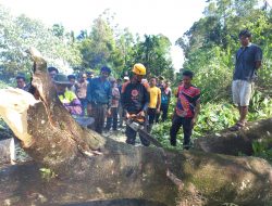 Beberapa Wilayah di Kecamatan Tanjung Raya Diterjang Angin Kencang