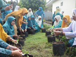 Peringati HKG ke-52, TP PKK Agam Ikuti Gerakan Menanam Cabai Serentak