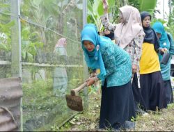 Siap Hadang Lomba Gerakan PKK Tingkat Provinsi, Ini Keunggulan PKK Sitalang