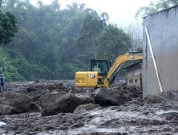 Dampak Banjir Lahar Dingin, 141 Ekor Ternak Warga Terkena Imbas