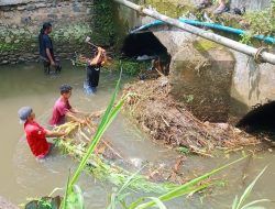 Antisipasi Banjir Susulan, Pemuda Pasar Rabaa Bersihkan Gorong-Gorong