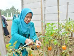 Ketua PKK Agam Minta Program PKK Beri Manfaat Untuk Masyarakat