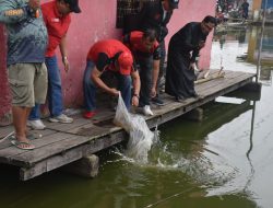 Tambah Semangat Pemancing, Bupati Agam Lepas 10 Kantong Ikan di Tabek Gadang