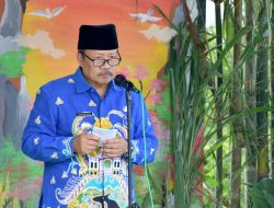 Bupati Agam: Manfaatkan Potensi Kebudayaan Nagari Sungai Batang