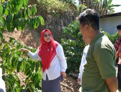 Ny. Merry Benni Warlis Apresiasi Kopi Bundo Pagadih, Angkat Peran Perempuan Melalui KUPS Agroforestari Alam Merdeka