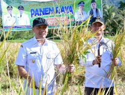 Wabup Agam Panen Raya SPM di Bayur, Dorong Inovasi Pertanian Hemat Biaya