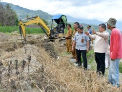 Dinilai Gerak Cepat Tangani Dampak Bencana, Agam Dipercaya Jadi Pusat Gerakan Tanam Serentak Nasional 
