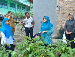 TP-PKK Agam, Rutan Maninjau dan Pemnag Koto Malintang Kolaborasi, Manfaat Lahan Tidur Untuk Ketahanan Pangan