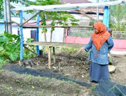 Gelar Pembinaan PKK di Sungai Pua, Ny. Meri Beni Warlis : Sinergi, Beri Manfaat Untuk Warga