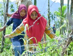 TP PKK Agam Gandeng Rutan Maninjau, Kelola Lahan Warga Jadi Produktif