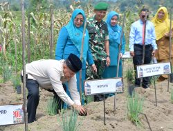 Tinjau Stan UP2K, Bupati Agam Tanam Bibit Gerakan Penghijauan Pada HKG PKK ke-54