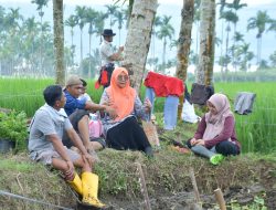 TP-PKK Agam Tinjau Progres Pemanfaatan Lahan Non Produktif di Nagari Koto Malintang