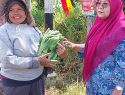 Jelang Penilaian Provinsi, Ny.Merry Benni Warlis Pastikan Kesiapan PKK Nagari Sungai Pua