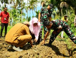 Ketua TP PKK Agam Tinjau Pengelolaan Lahan Tidur Dukung Ketahanan Pangan
