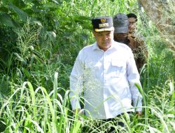 Bupati Agam Tinjau Dam Irigasi Sungai Angek, Perkuat Ketahanan Pertanian Hadapi Anomali Iklim