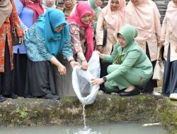 Tinjau TMMD Di Palupuah, Pemkab Agam Tegaskan Pentingnya Persatuan Dalam Membangun Daerah