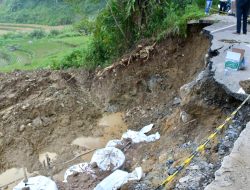 Tiada Kata Lelah, Bupati Agam Tinjau Akses Jalan Provinsi Yang Putus Akibat Longsor