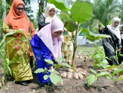 Dari Pekarangan Untuk Keluarga, Ny Merry Dorong Dasawisma Gemar Menanam