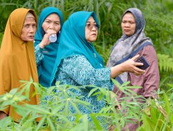 Bangkitkan Semangat Gotong Royong, Ketua TP PKK Agam Bina Dasawisma Bugenvile